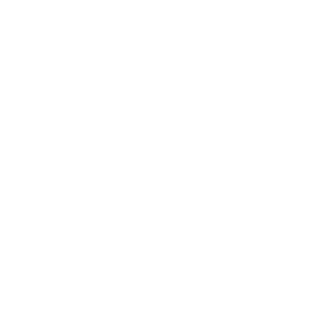 Logo Willians Mischur